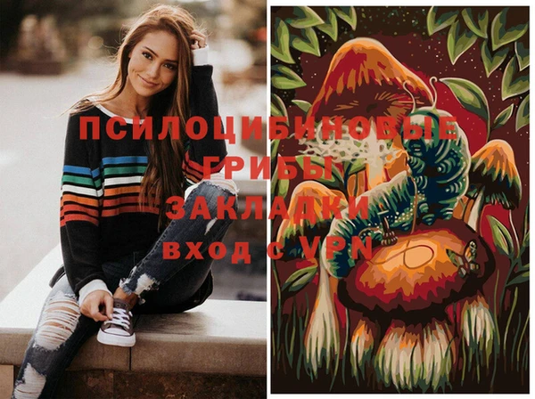 jwh Бородино