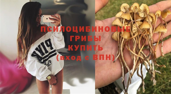 jwh Бородино