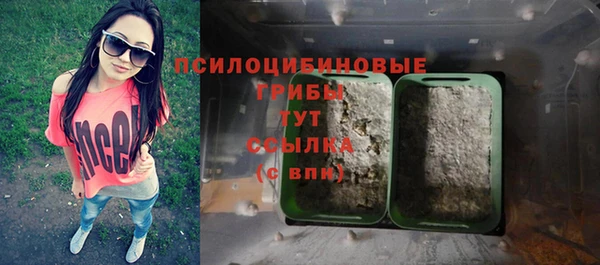 jwh Бородино