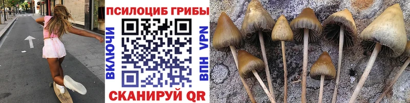 Галлюциногенные грибы мицелий  даркнет сайт  Острогожск 